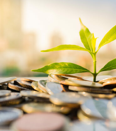 Financial Growth, Plant on pile coins with cityscape background