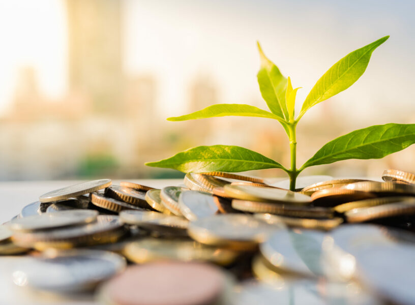 Financial Growth, Plant on pile coins with cityscape background Financial Growth, Plant on pile coins with cityscape background