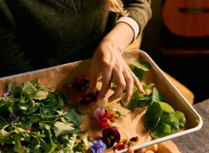 DTS_Forager__Daniel_Farò_Photos_ID11636